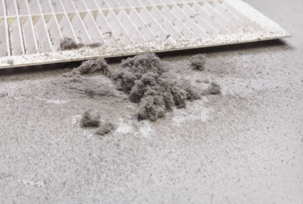 Best Dryer Vent Cleaning Services  in Covington, VA