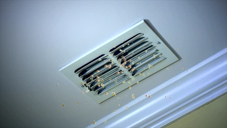 Best Affordable HVAC Duct Cleaning  in Covington, VA
