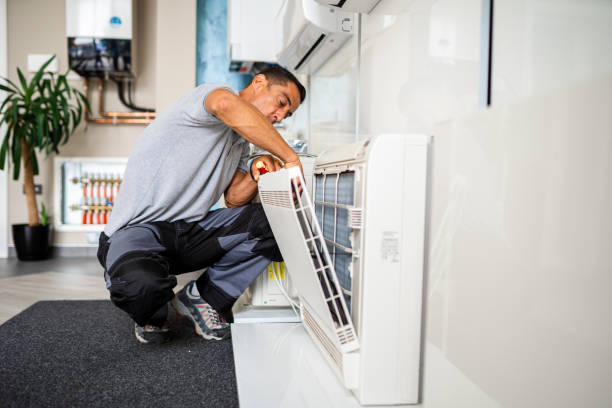 Best Air Duct Mold Removal  in Covington, VA