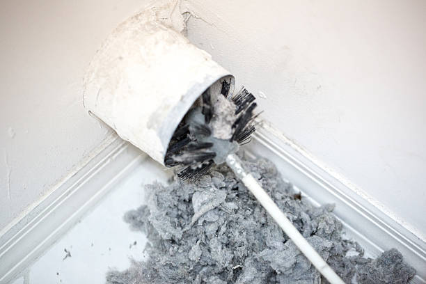 Best Affordable Duct Cleaning Services  in Covington, VA