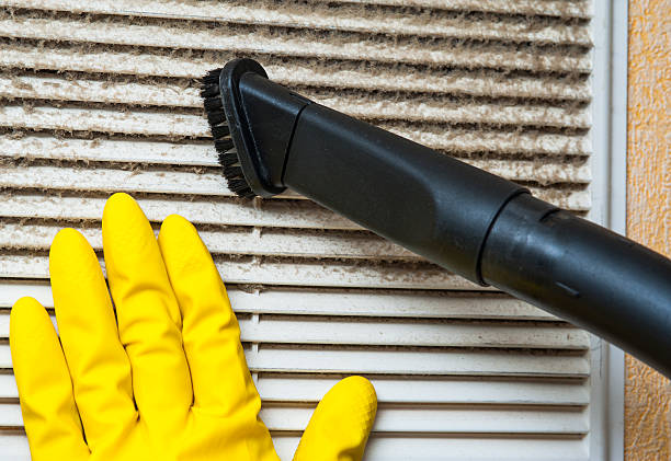 Best Local Air Duct Cleaning Services  in Covington, VA